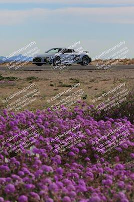 media/Jan-08-2023-SCCA SD (Sun) [[8f6a5b9391]]/Advanced Group/Session 2 (Short Straight)/